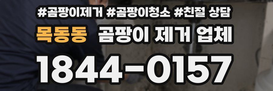 목동동 곰팡이 제거 업체