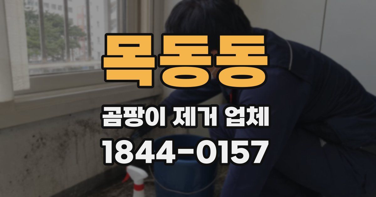 목동동 곰팡이 제거 업체