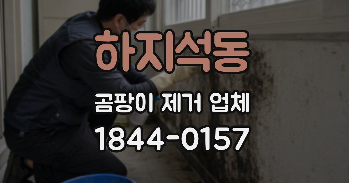 하지석동 곰팡이 제거 업체