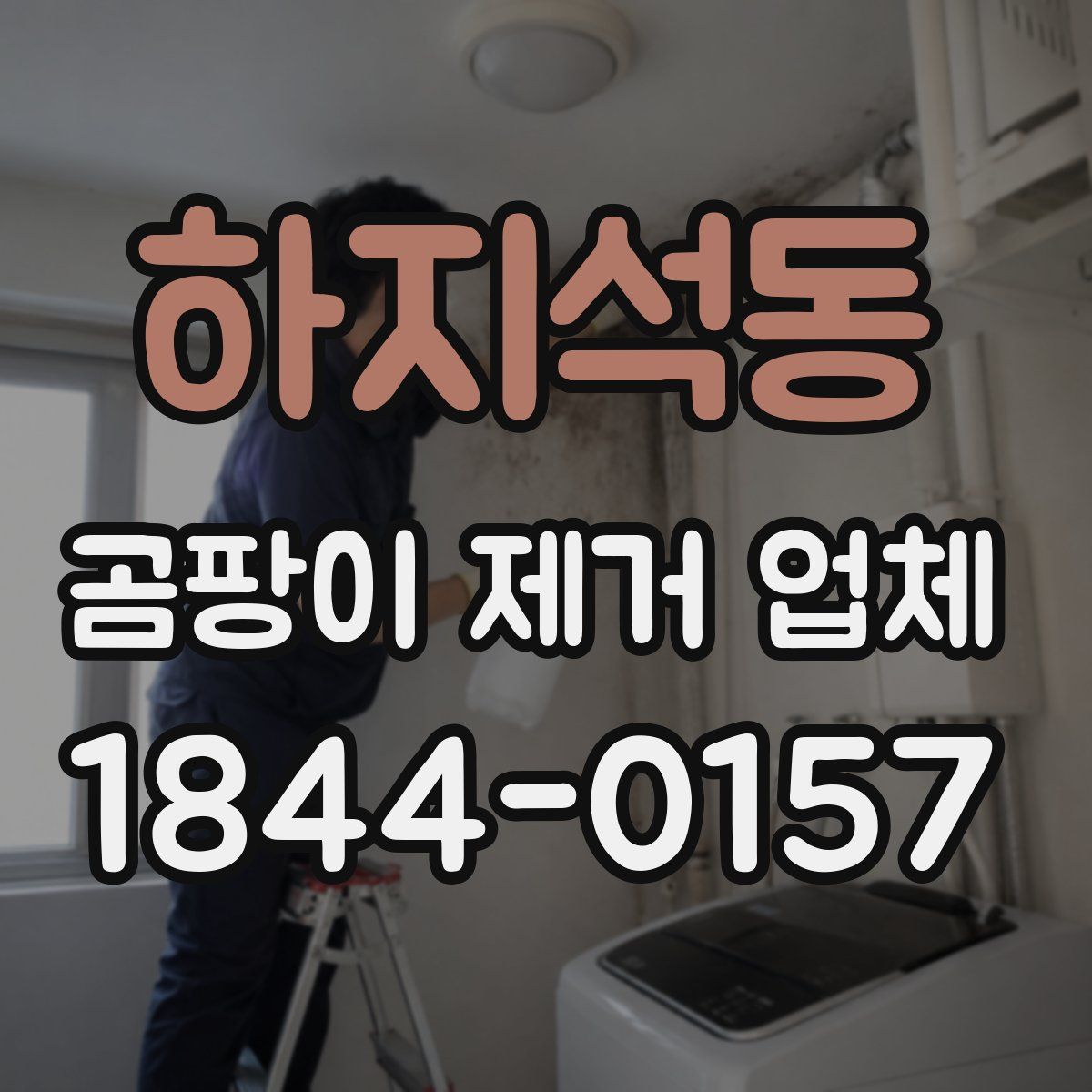 하지석동 곰팡이 제거 업체
