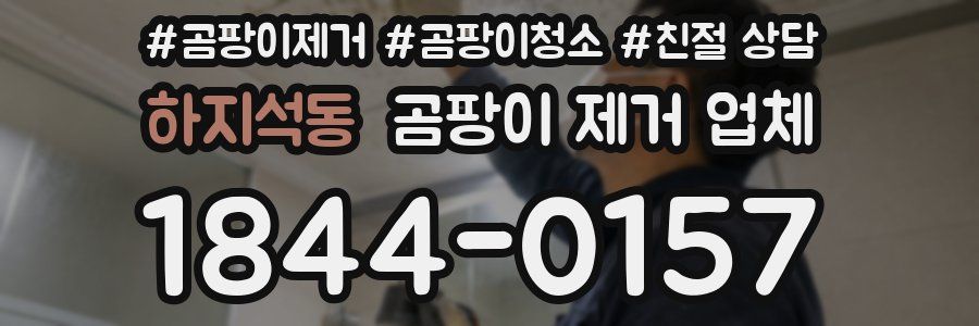 하지석동 곰팡이 제거 업체