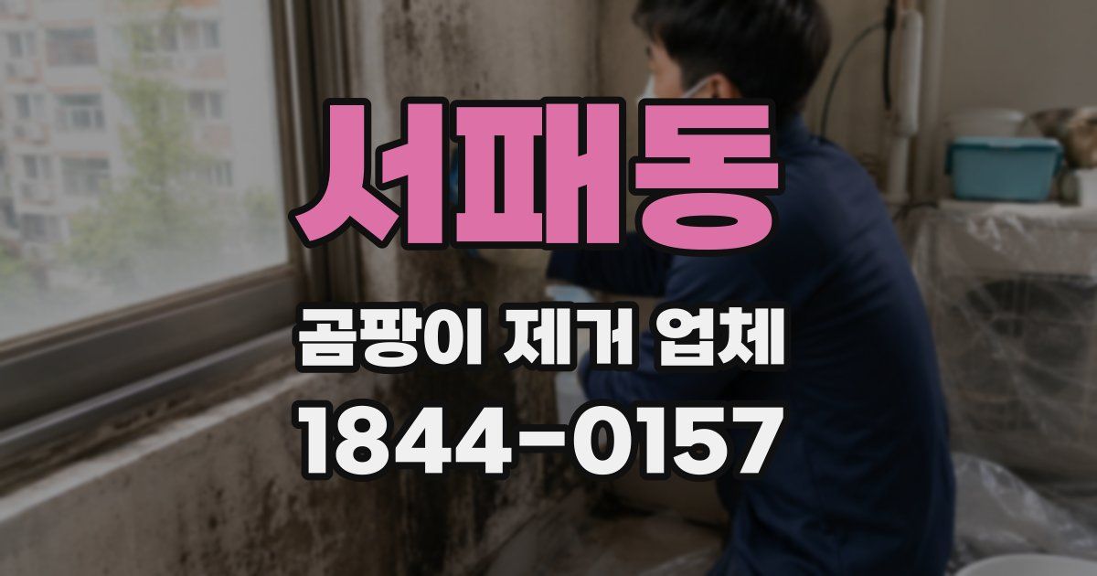 서패동 곰팡이 제거 업체