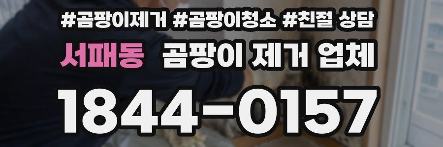 서패동 곰팡이 제거 업체