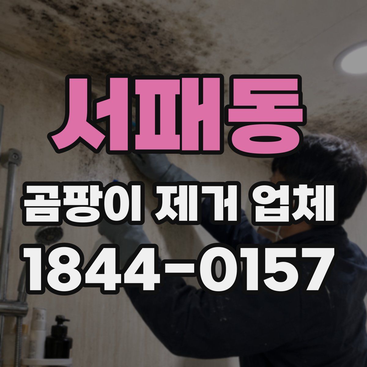 서패동 곰팡이 제거 업체
