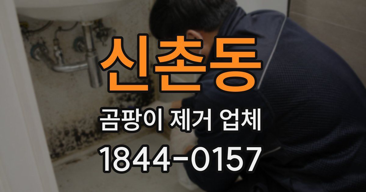 신촌동 곰팡이 제거 업체