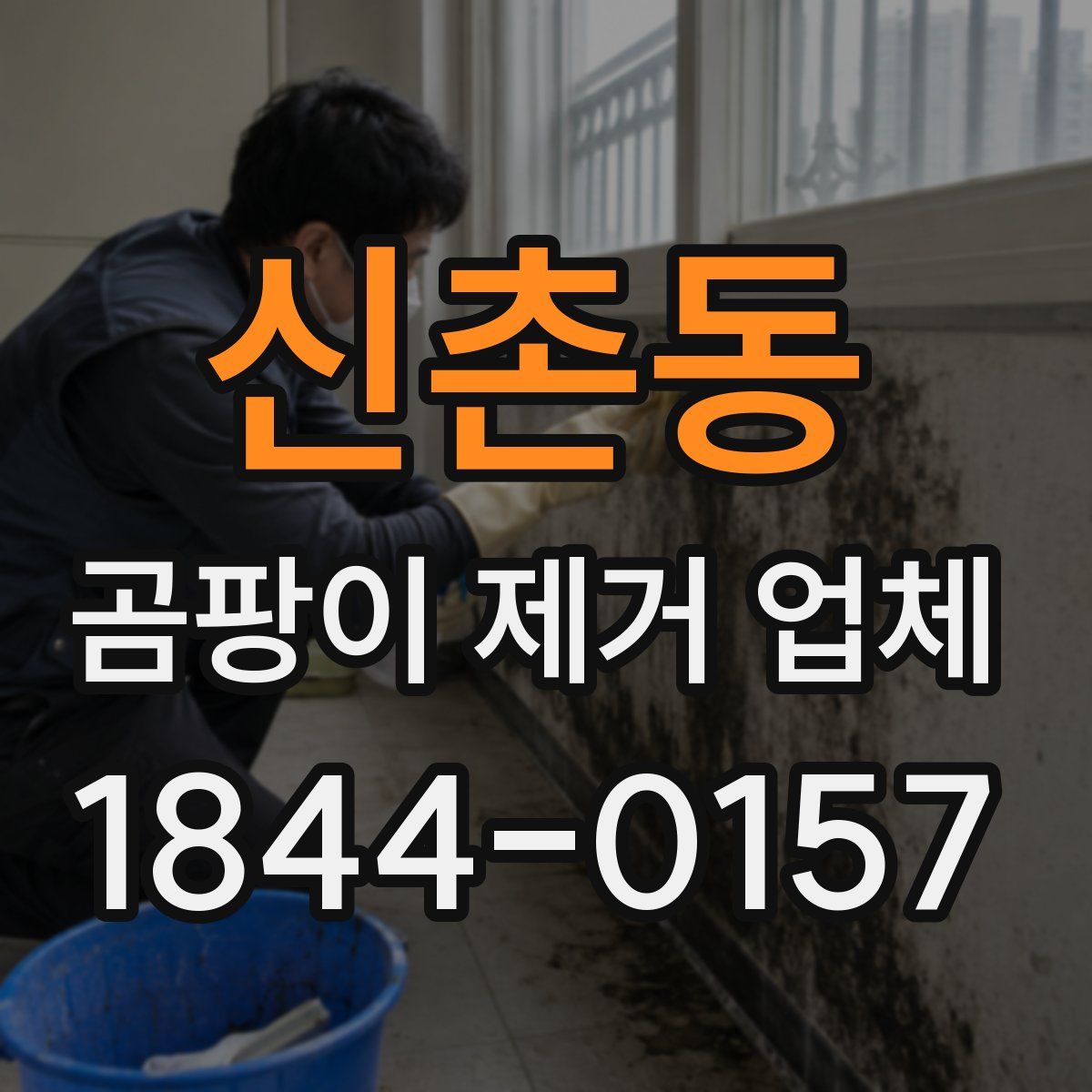 신촌동 곰팡이 제거 업체