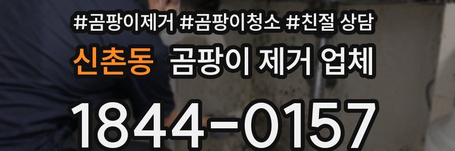 신촌동 곰팡이 제거 업체
