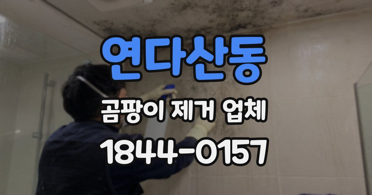 연다산동 곰팡이 제거 업체