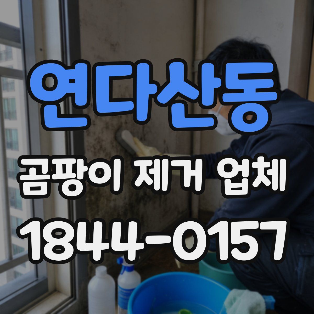 연다산동 곰팡이 제거 업체