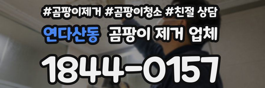 연다산동 곰팡이 제거 업체