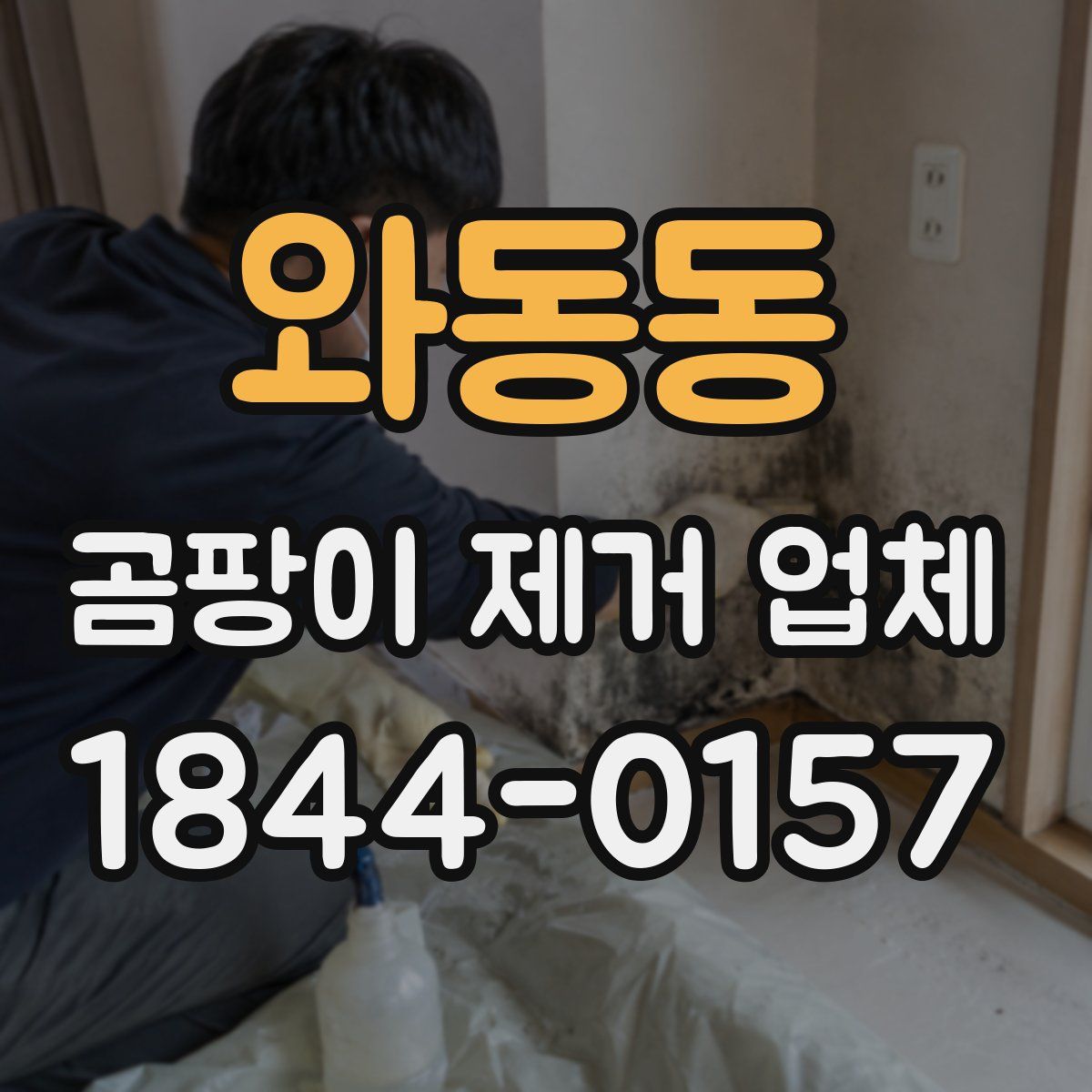 와동동 곰팡이 제거 업체