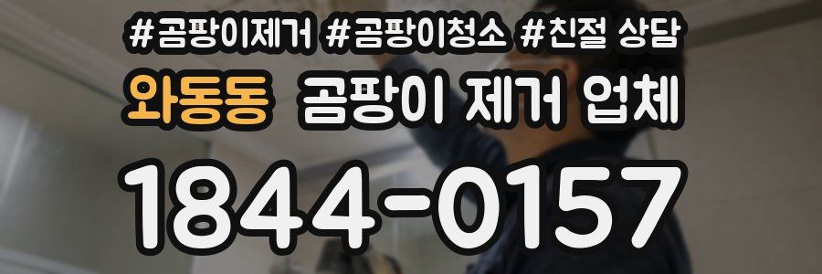 와동동 곰팡이 제거 업체
