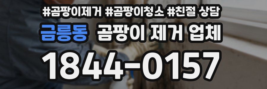 금릉동 곰팡이 제거 업체