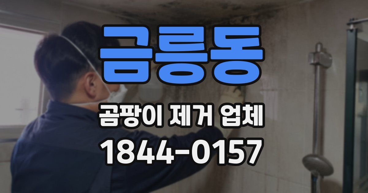 금릉동 곰팡이 제거 업체