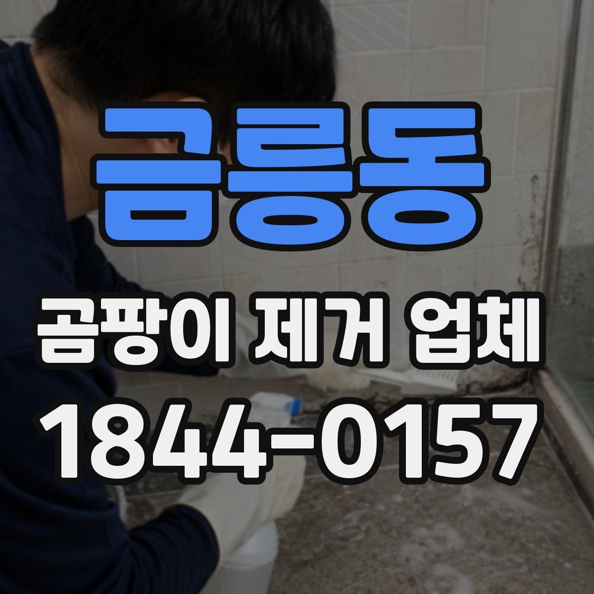 금릉동 곰팡이 제거 업체