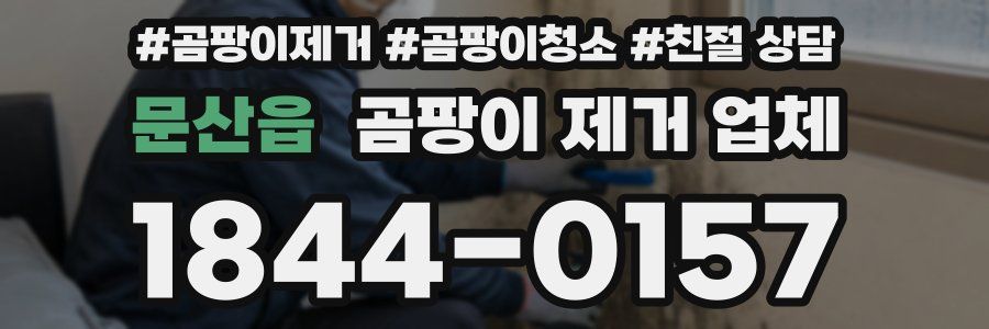문산읍 곰팡이 제거 업체