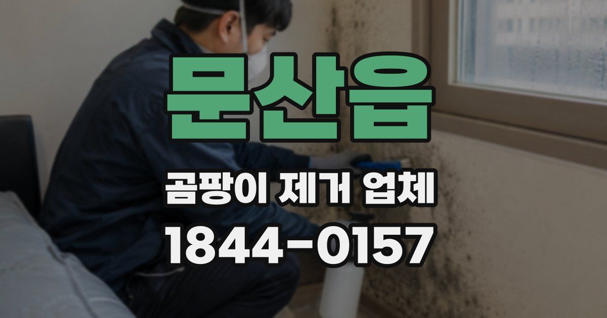 문산읍 곰팡이 제거 업체