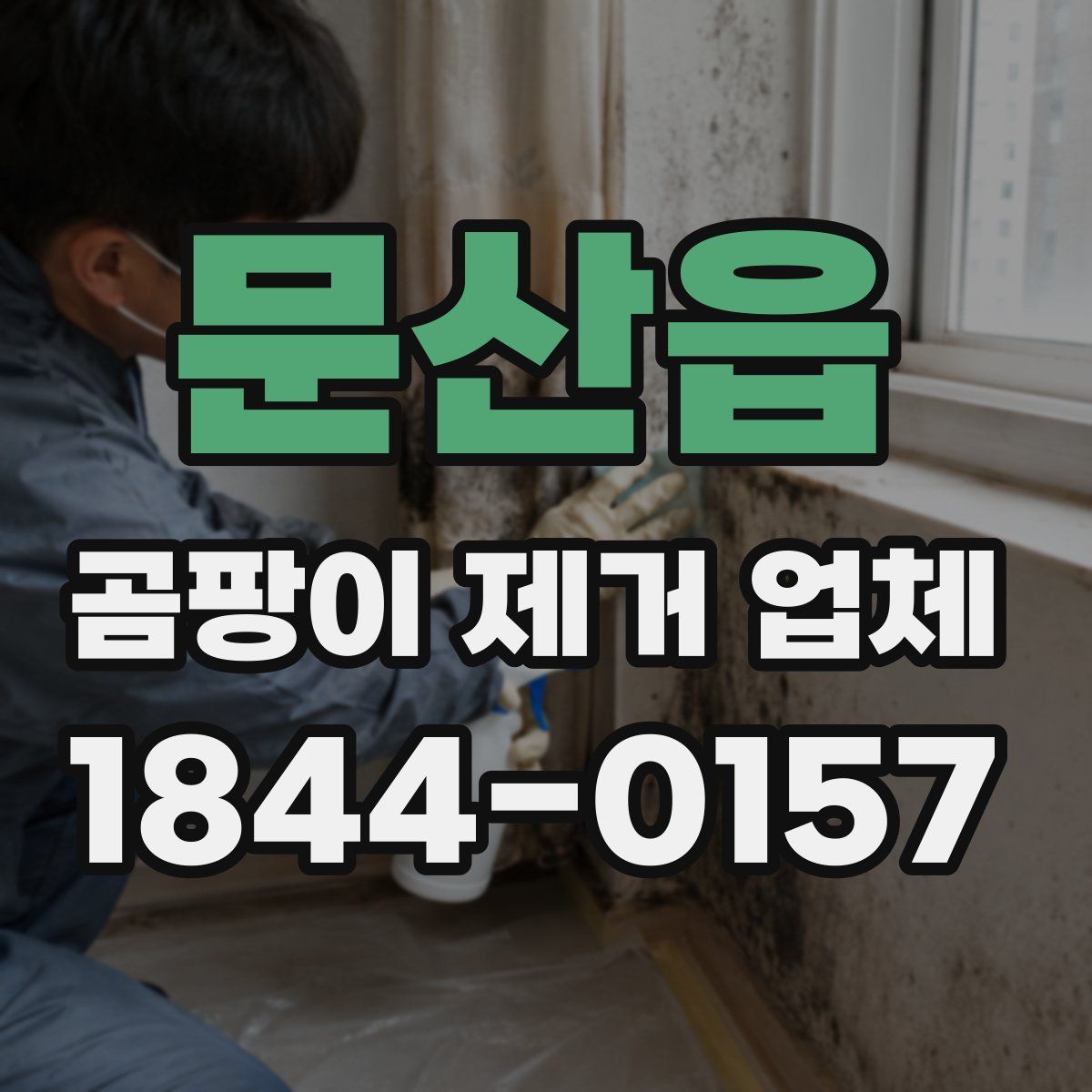 문산읍 곰팡이 제거 업체