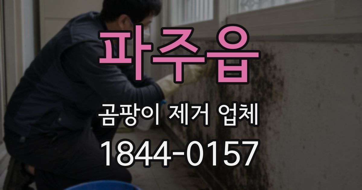 파주읍 곰팡이 제거 업체