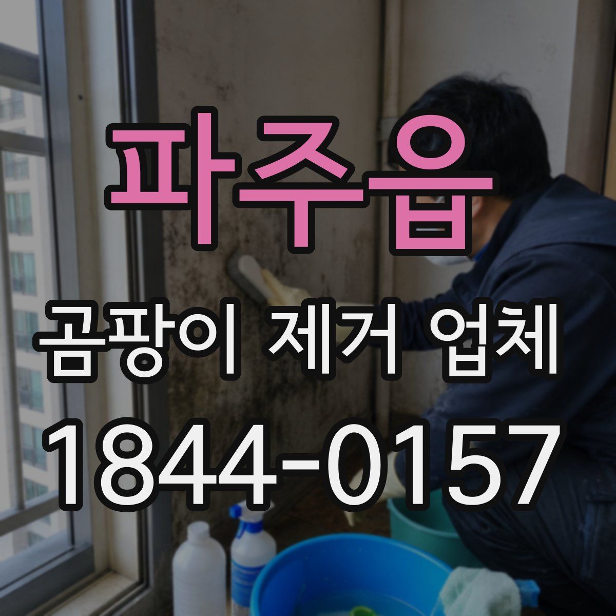 파주읍 곰팡이 제거 업체