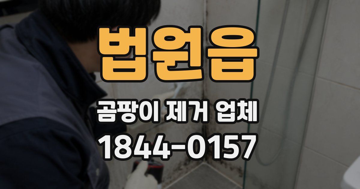 법원읍 곰팡이 제거 업체