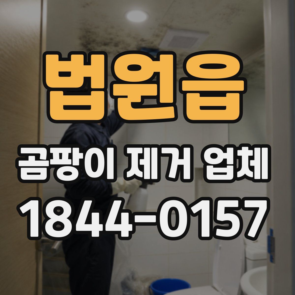 법원읍 곰팡이 제거 업체
