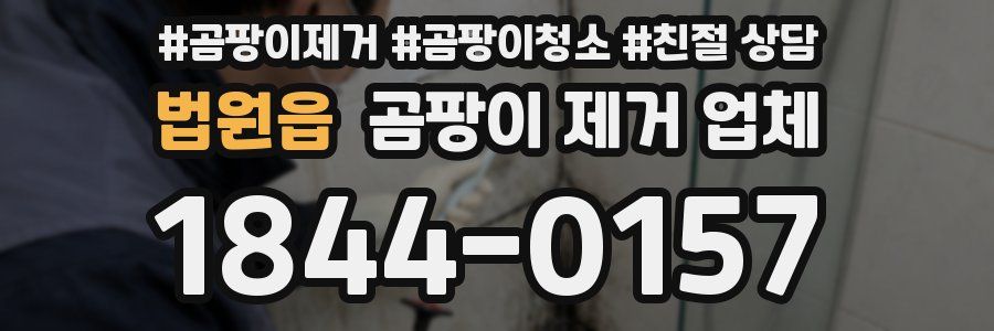 법원읍 곰팡이 제거 업체