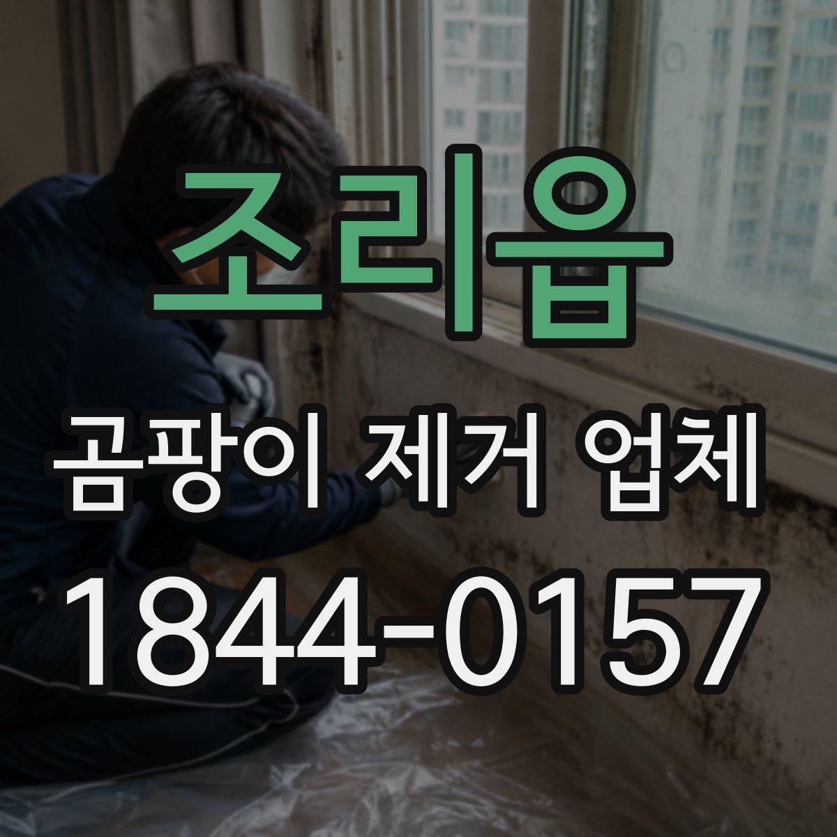 조리읍 곰팡이 제거 업체