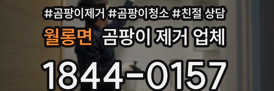 월롱면 곰팡이 제거 업체