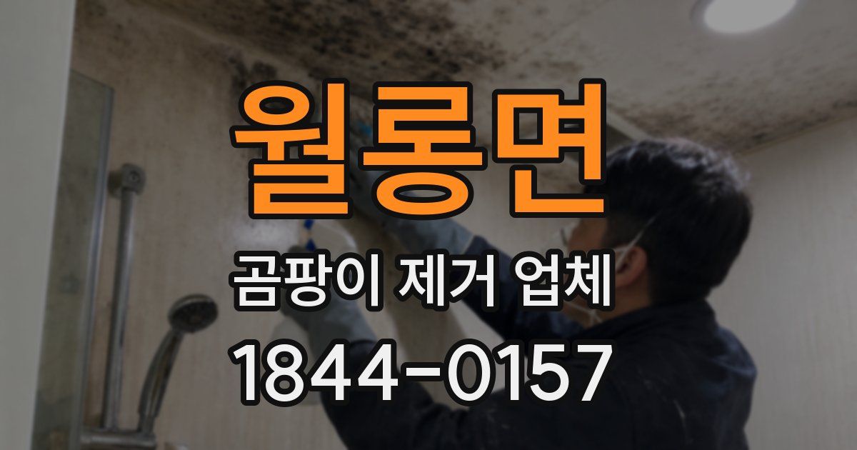 월롱면 곰팡이 제거 업체
