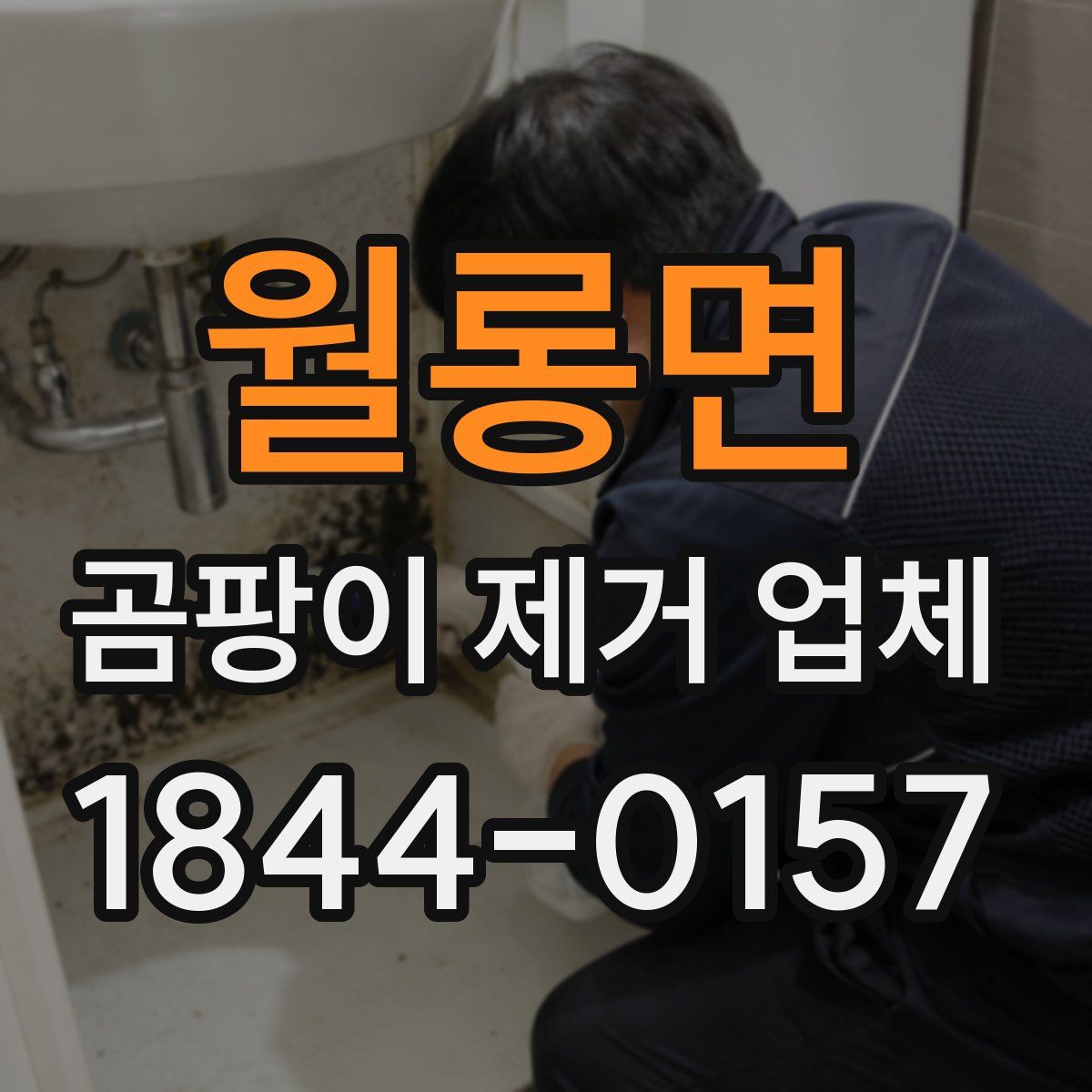 월롱면 곰팡이 제거 업체