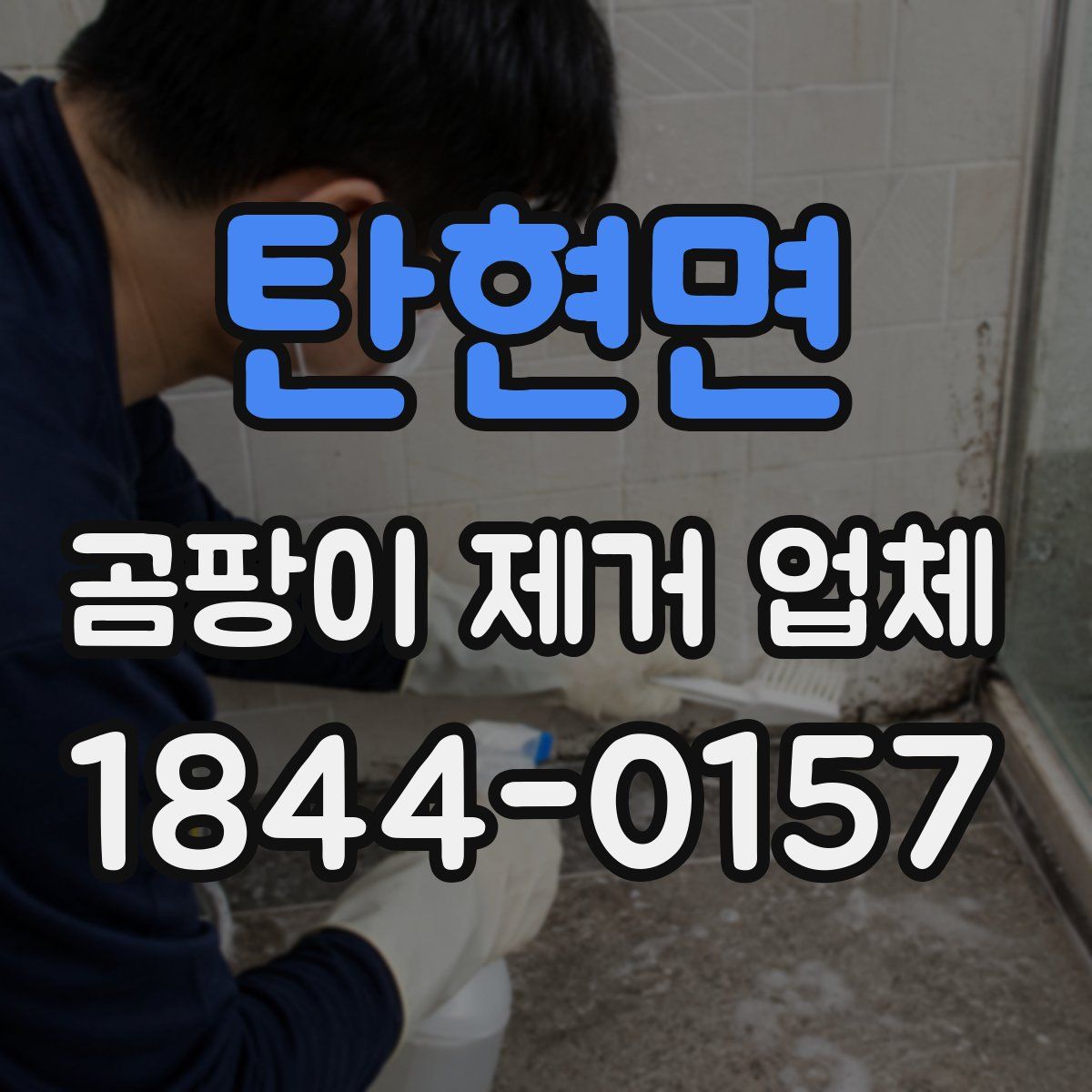 탄현면 곰팡이 제거 업체
