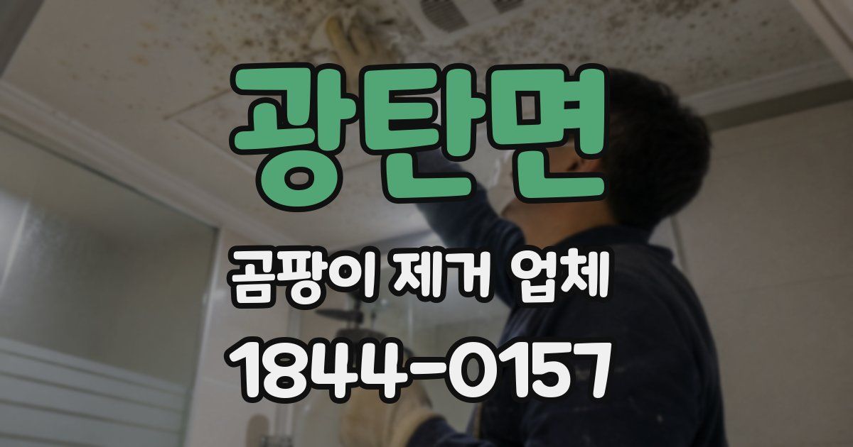 광탄면 곰팡이 제거 업체