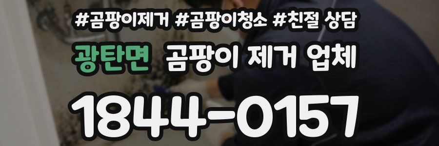 광탄면 곰팡이 제거 업체