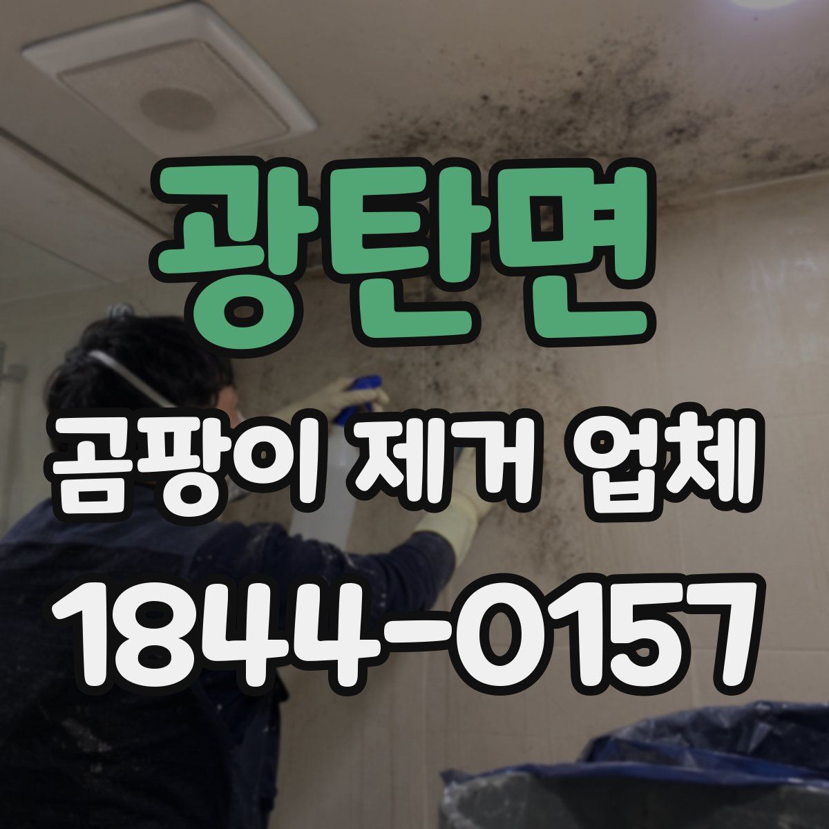 광탄면 곰팡이 제거 업체
