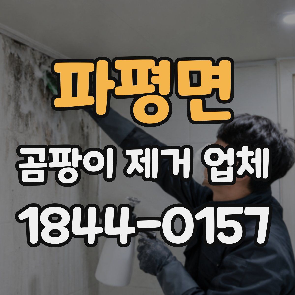 파평면 곰팡이 제거 업체
