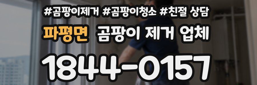 파평면 곰팡이 제거 업체