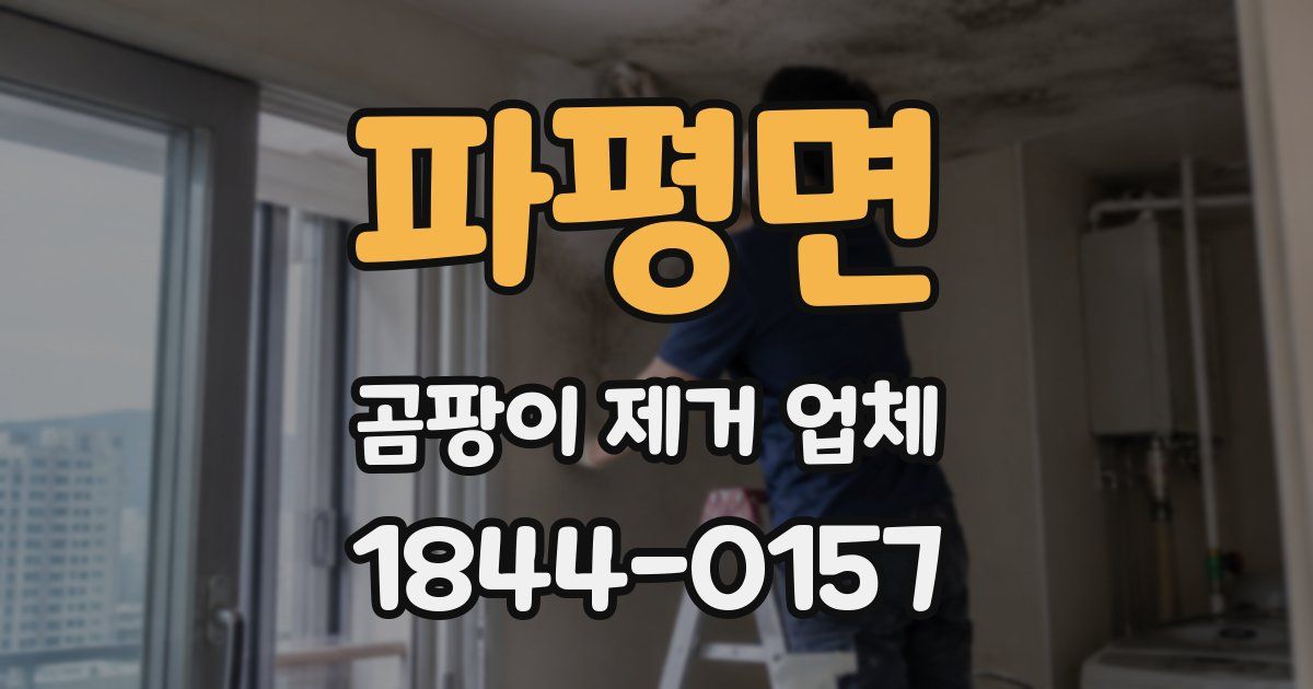 파평면 곰팡이 제거 업체