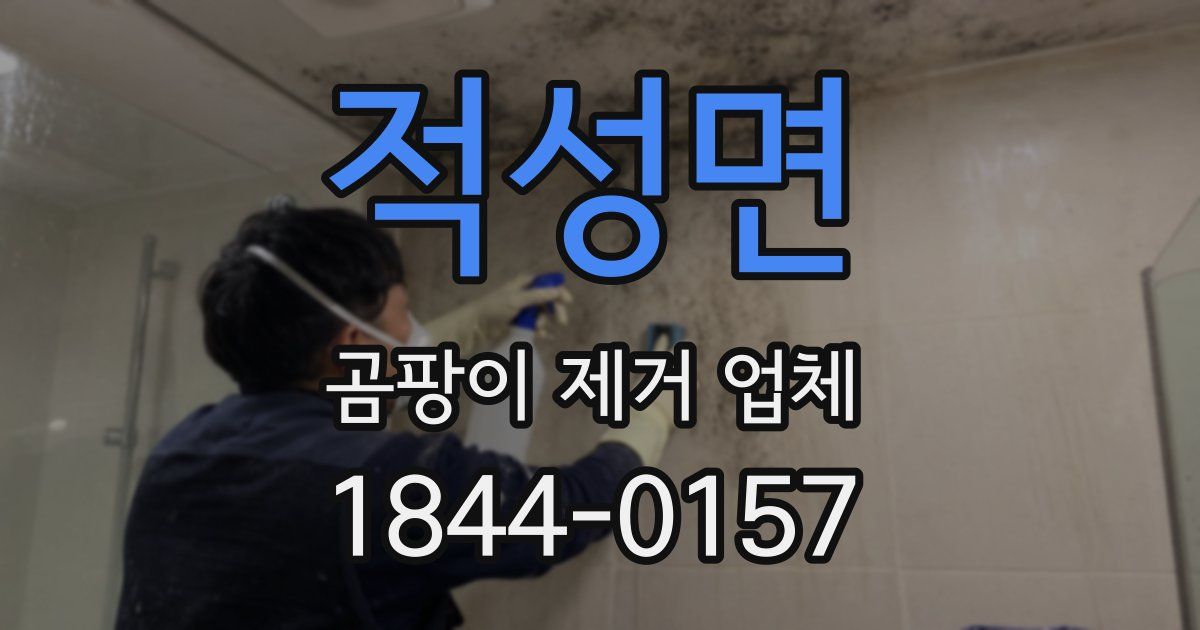 적성면 곰팡이 제거 업체