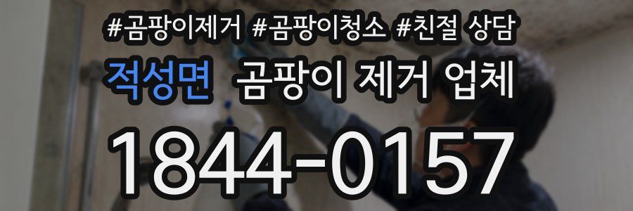 적성면 곰팡이 제거 업체