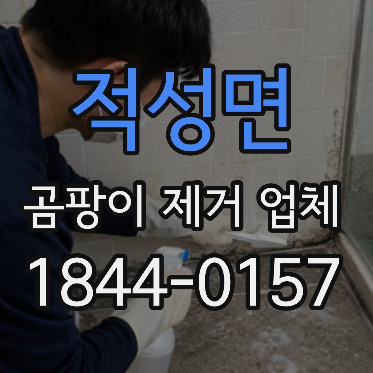 적성면 곰팡이 제거 업체