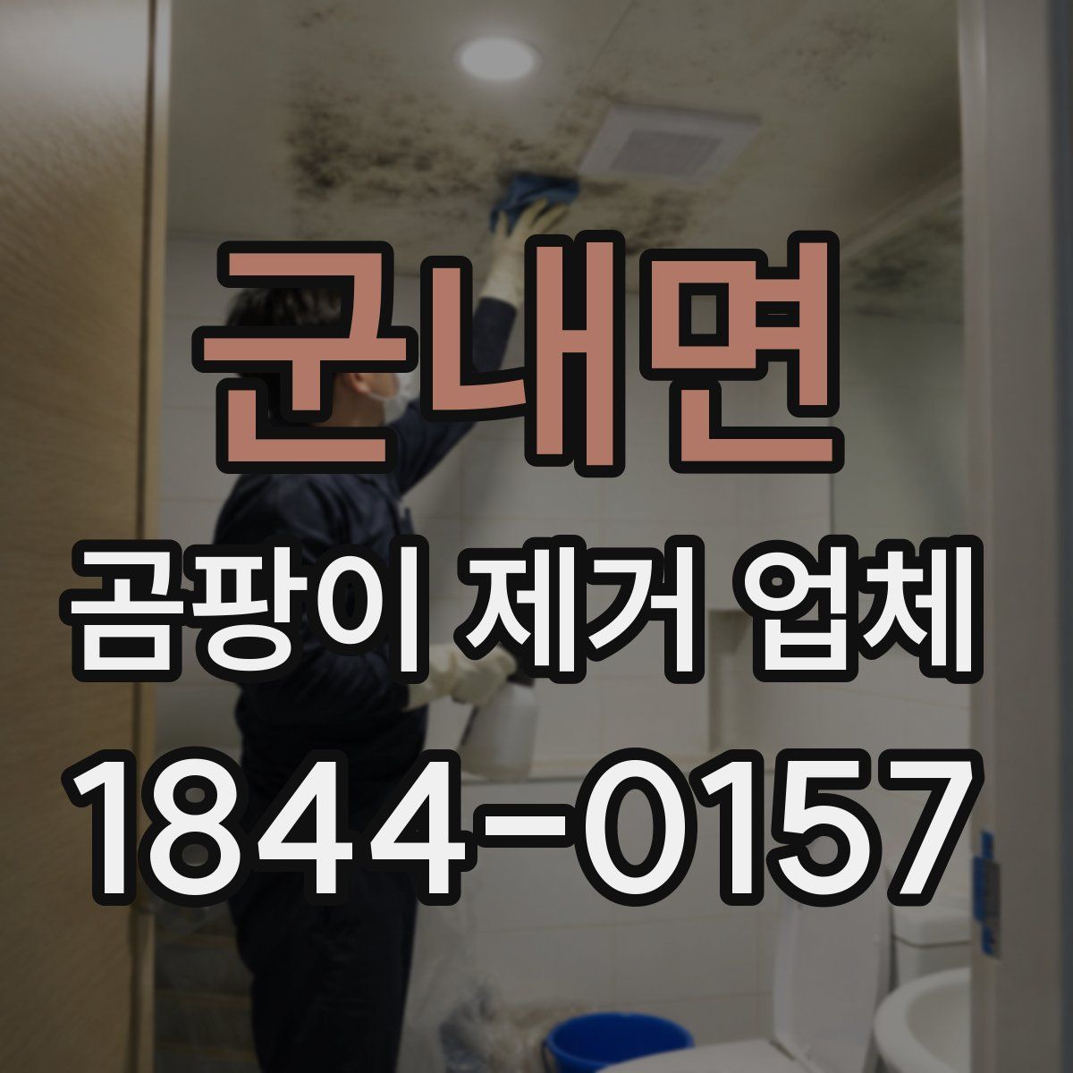 군내면 곰팡이 제거 업체