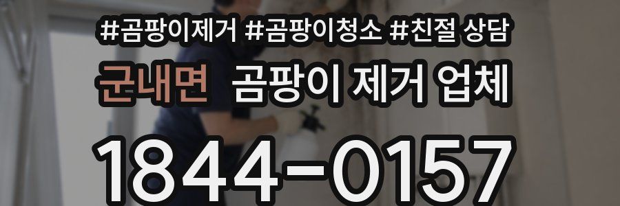 군내면 곰팡이 제거 업체
