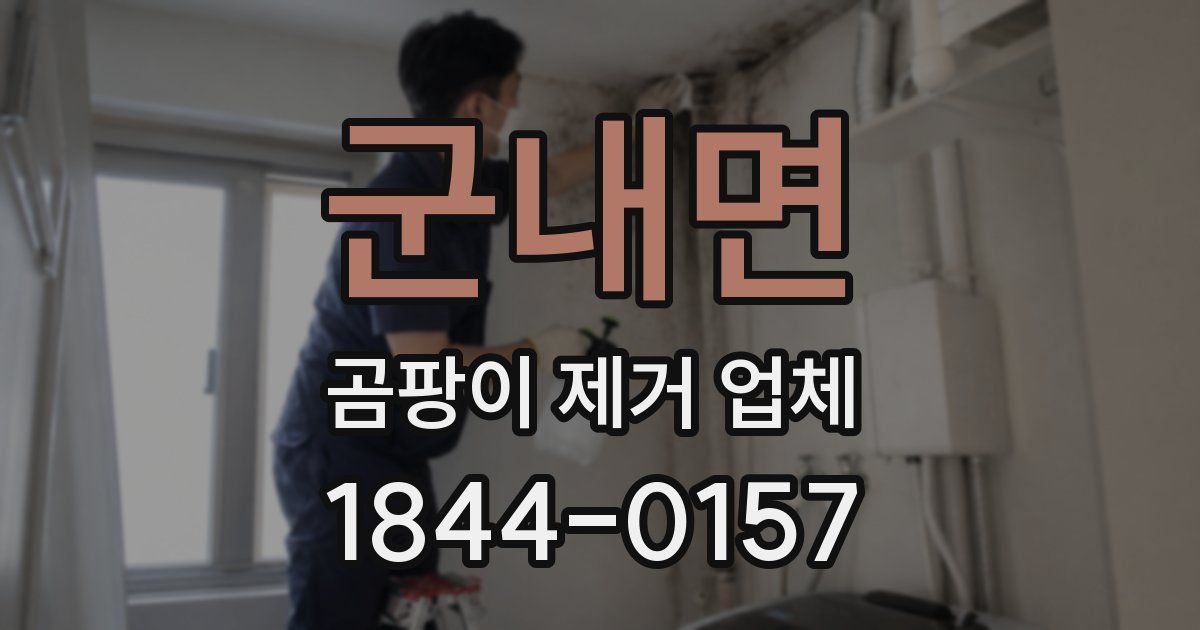 군내면 곰팡이 제거 업체
