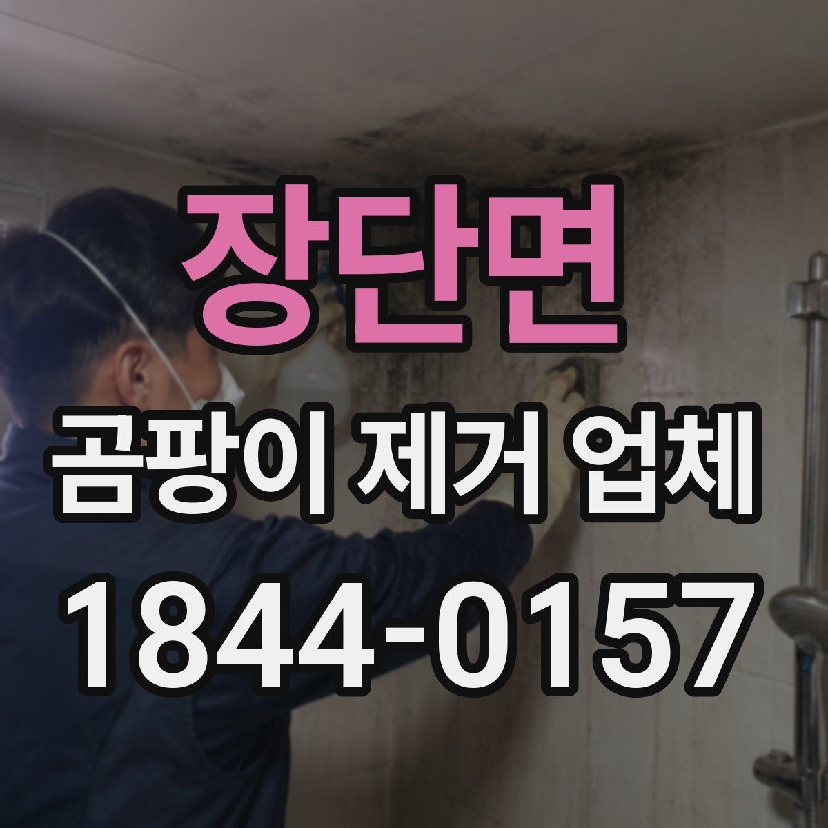 장단면 곰팡이 제거 업체 견적 비교 시 빠뜨리기 쉬운 항목