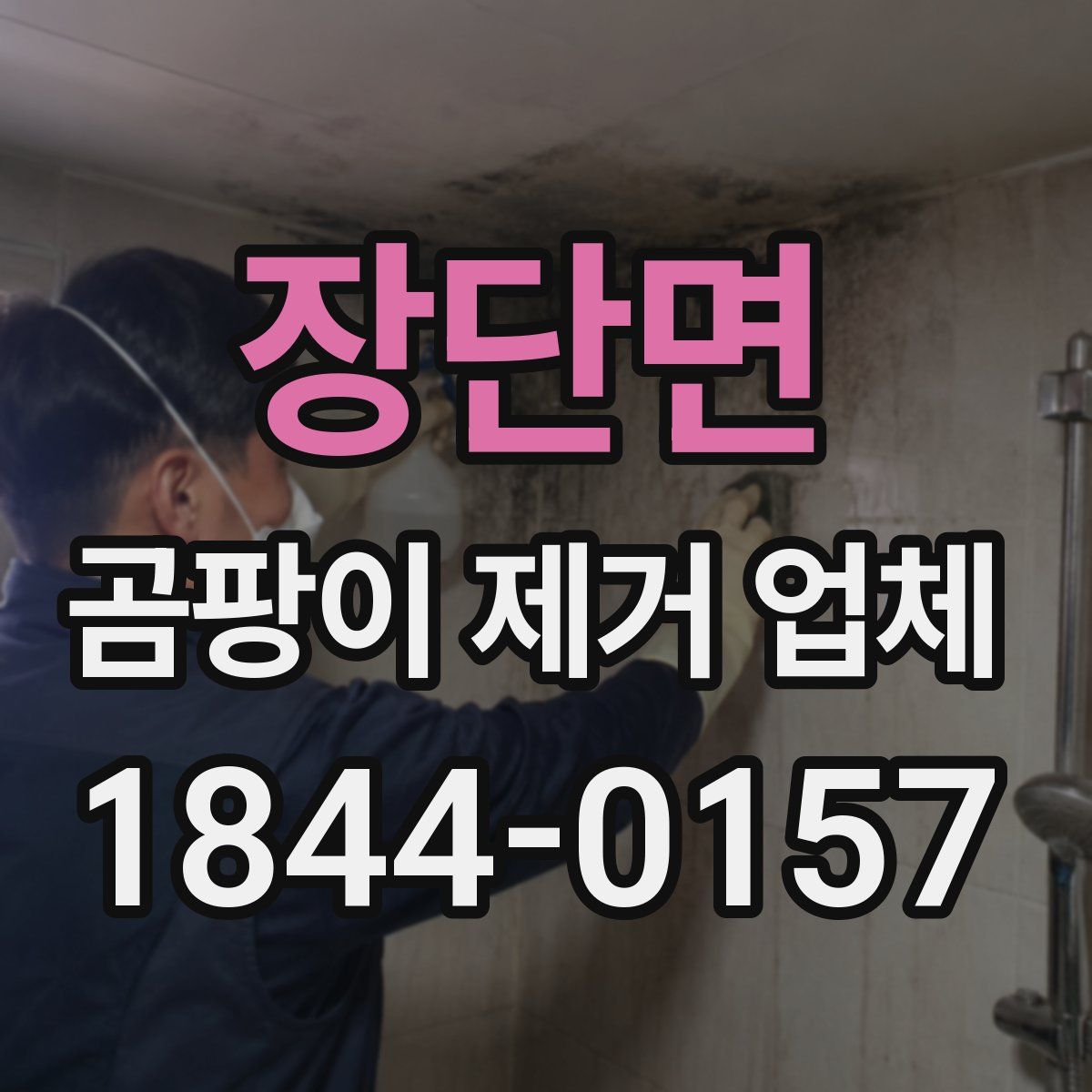 장단면 곰팡이 제거 업체