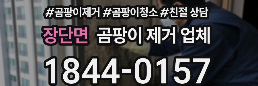장단면 곰팡이 제거 업체