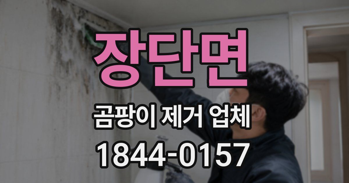 장단면 곰팡이 제거 업체