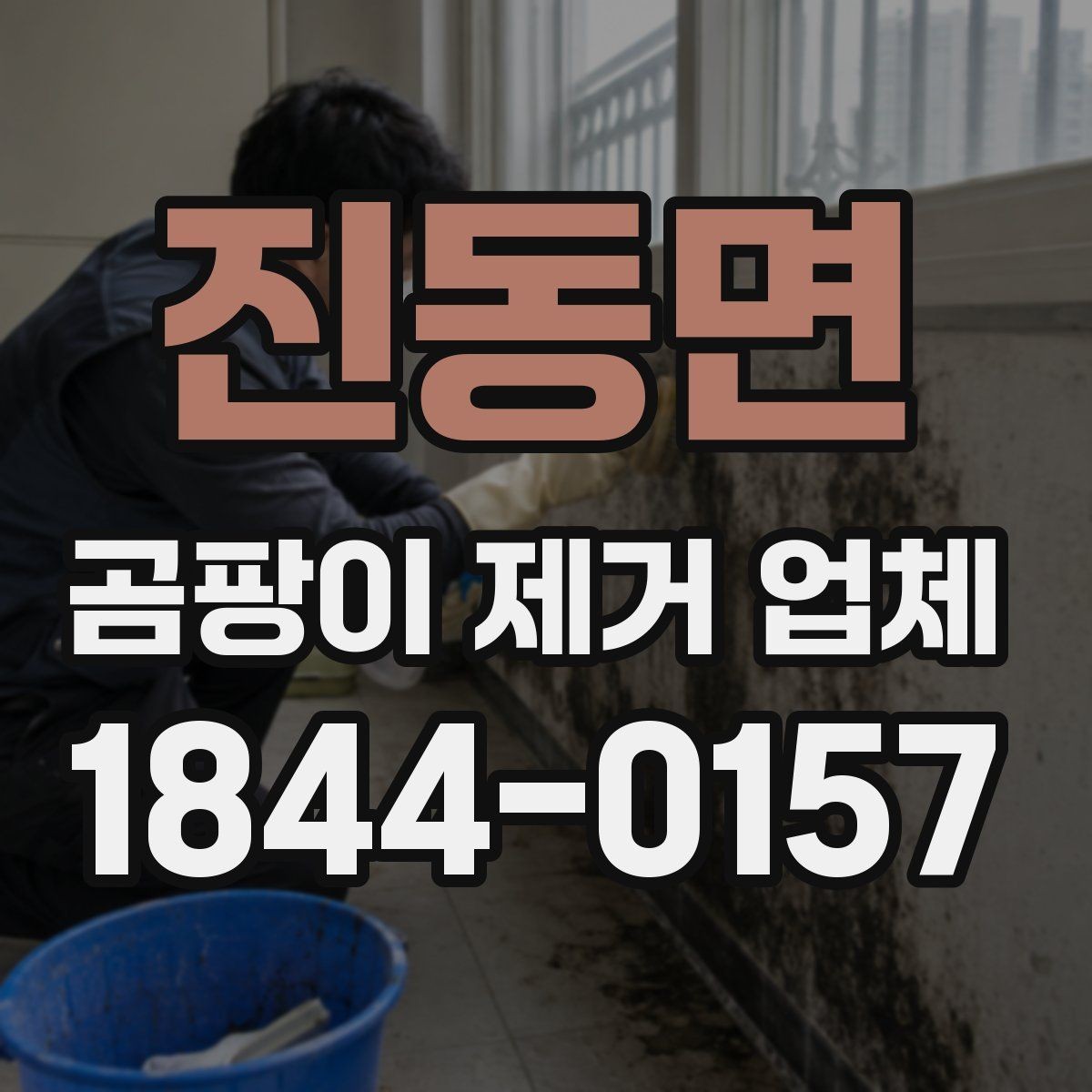 진동면 곰팡이 제거 업체 요청 전 사진으로 확인할 사항