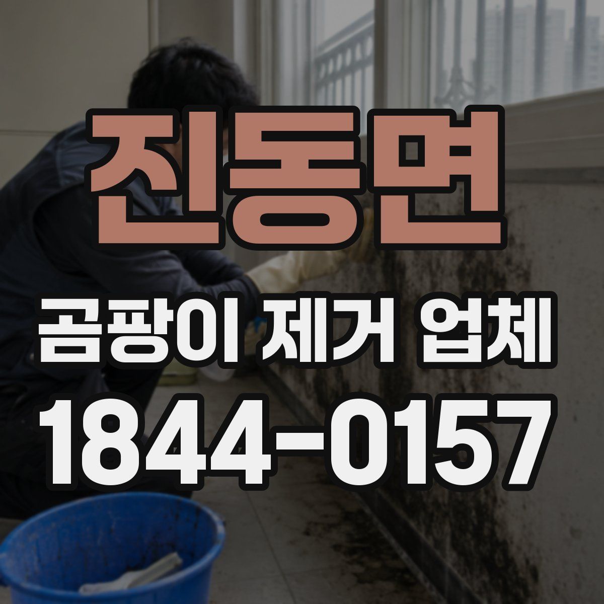 진동면 곰팡이 제거 업체